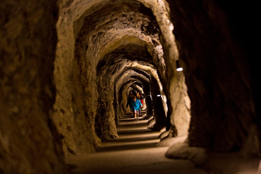 Subterranean Attractions