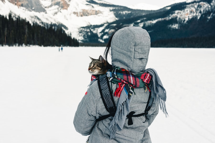 Photo Traveling with Animals