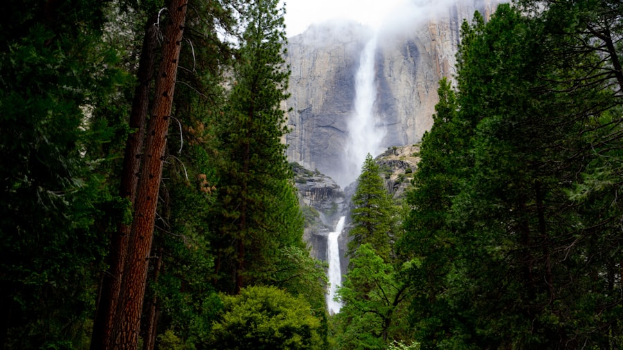 Photo Hiking Trails